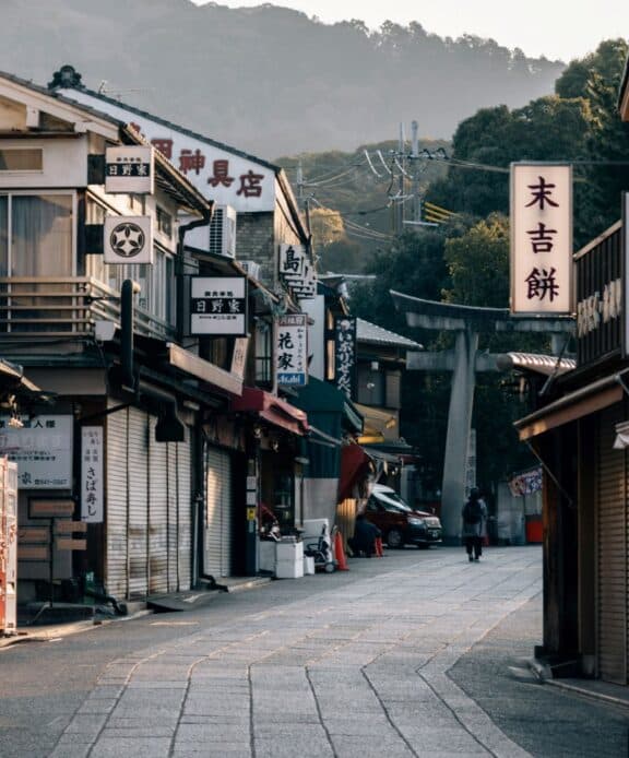 Platinum Japan Fund | Platinum