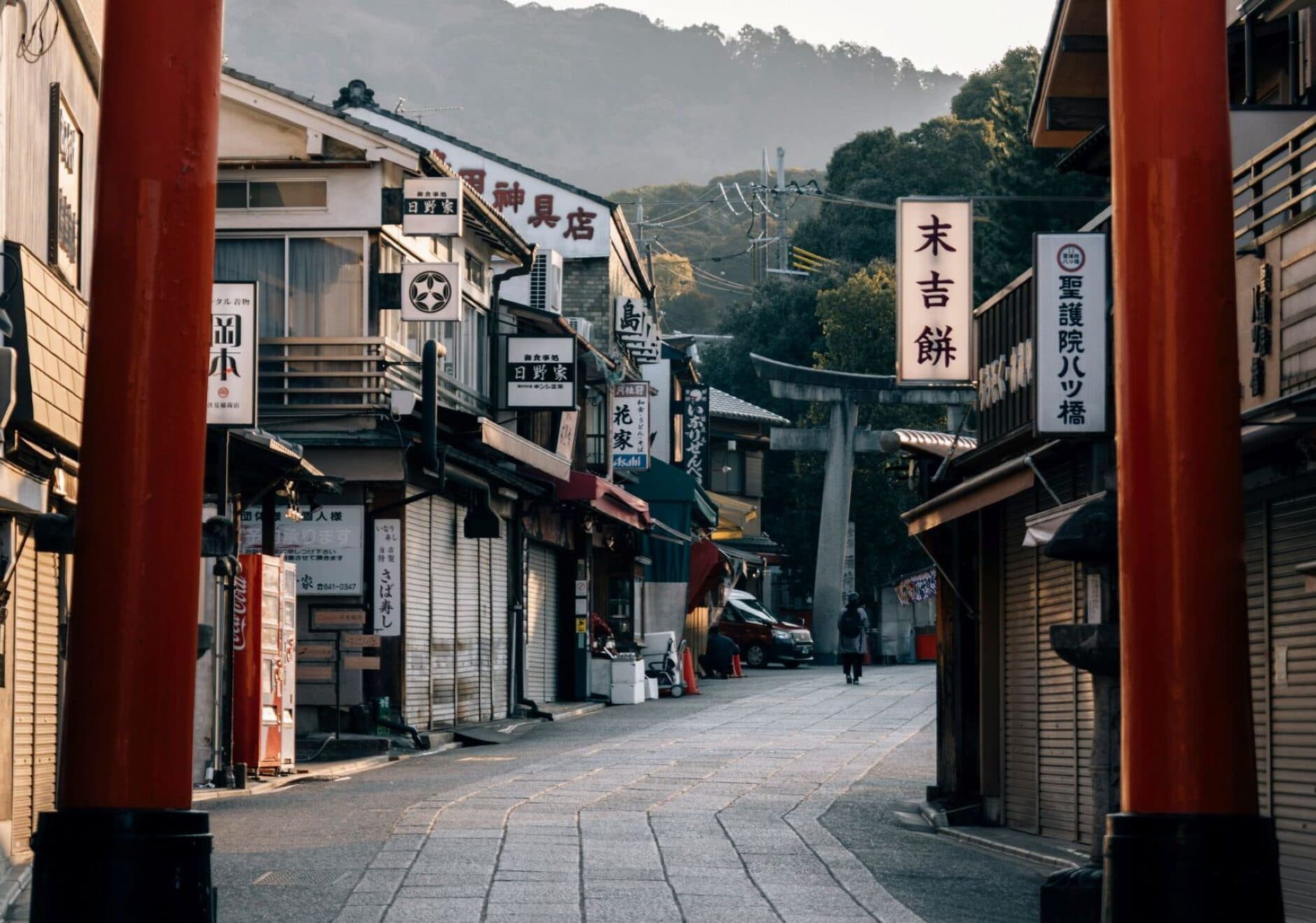 Platinum Japan Fund | Platinum