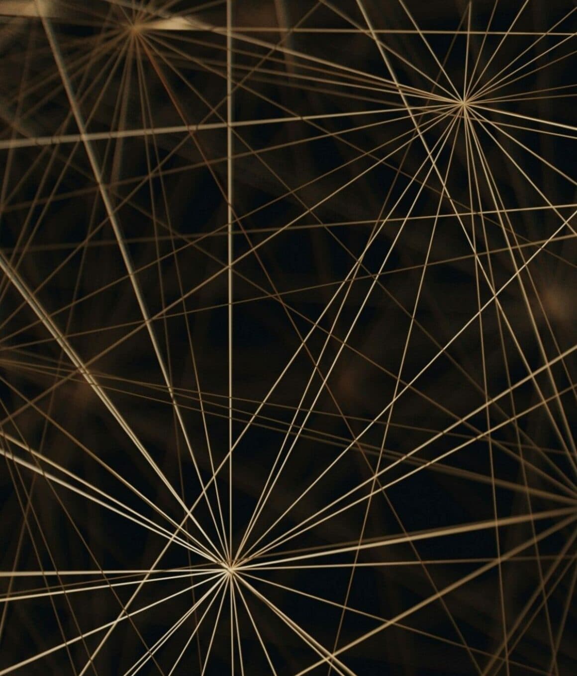 Platinum International Technology Fund | Platinum