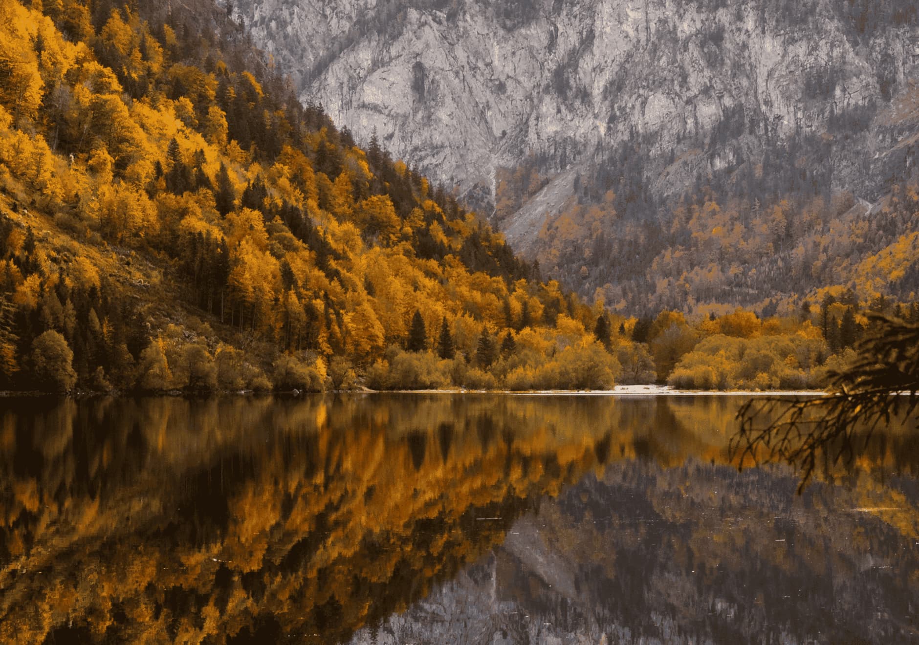 ahmet-yuksek-nhD6-Jwahl4-unsplash-edit
