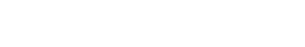Platinum Asset Management Logo
